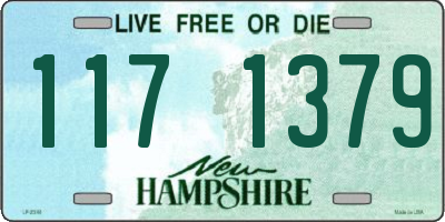 NH license plate 1171379