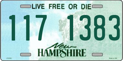 NH license plate 1171383