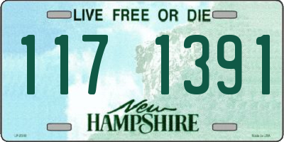 NH license plate 1171391
