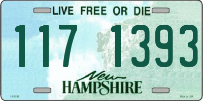 NH license plate 1171393