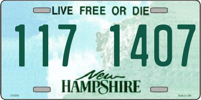 NH license plate 1171407