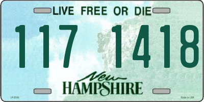 NH license plate 1171418
