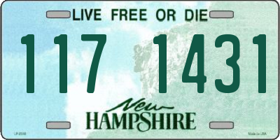 NH license plate 1171431