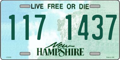 NH license plate 1171437