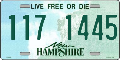 NH license plate 1171445