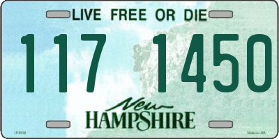 NH license plate 1171450