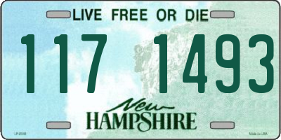 NH license plate 1171493