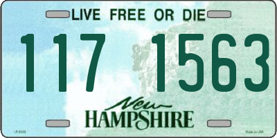 NH license plate 1171563