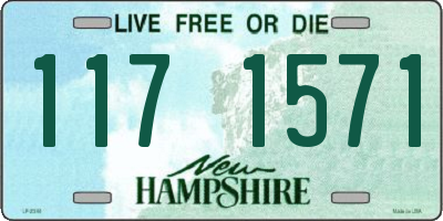 NH license plate 1171571