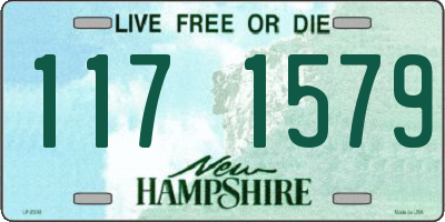 NH license plate 1171579