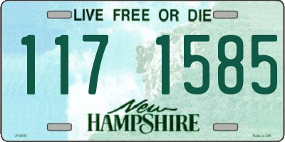 NH license plate 1171585