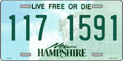 NH license plate 1171591