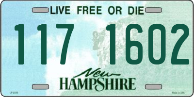 NH license plate 1171602