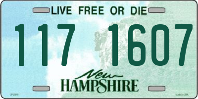 NH license plate 1171607