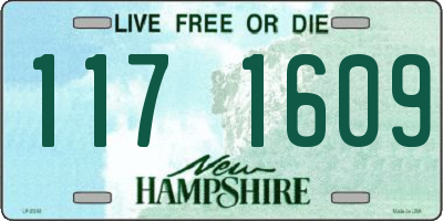 NH license plate 1171609