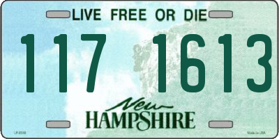 NH license plate 1171613