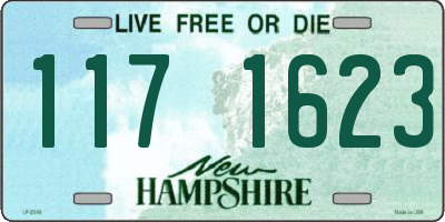 NH license plate 1171623