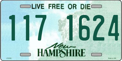 NH license plate 1171624