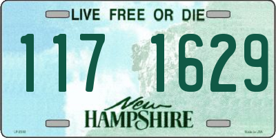 NH license plate 1171629
