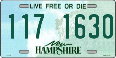 NH license plate 1171630