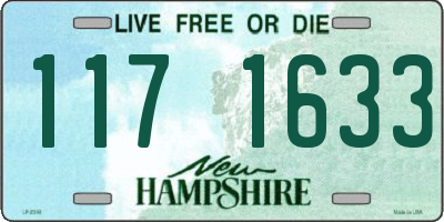 NH license plate 1171633