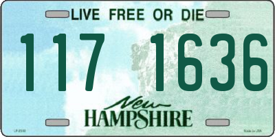 NH license plate 1171636