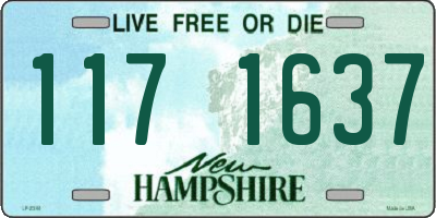 NH license plate 1171637