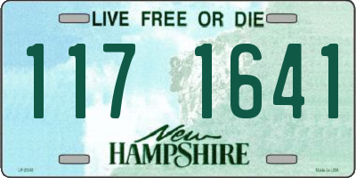 NH license plate 1171641