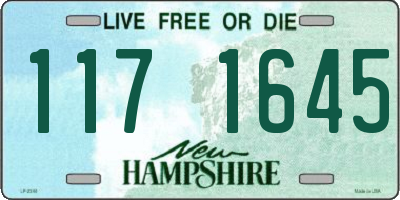NH license plate 1171645