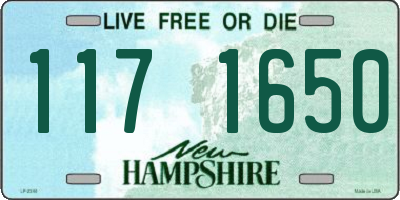 NH license plate 1171650