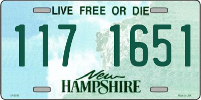 NH license plate 1171651