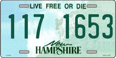 NH license plate 1171653