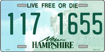 NH license plate 1171655
