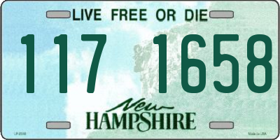 NH license plate 1171658