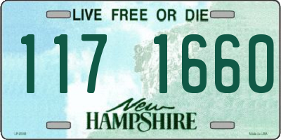 NH license plate 1171660
