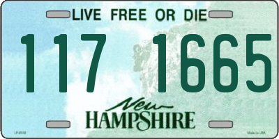 NH license plate 1171665
