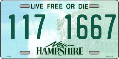 NH license plate 1171667