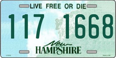 NH license plate 1171668