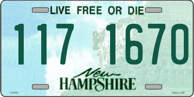 NH license plate 1171670