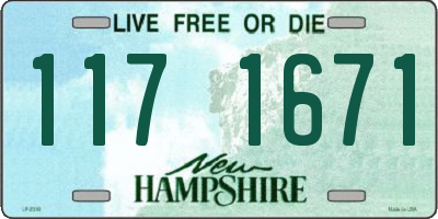 NH license plate 1171671