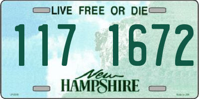 NH license plate 1171672