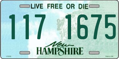 NH license plate 1171675