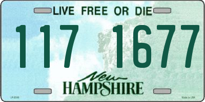NH license plate 1171677