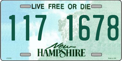 NH license plate 1171678