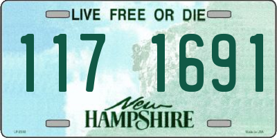 NH license plate 1171691