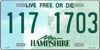 NH license plate 1171703