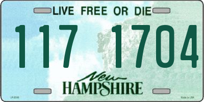 NH license plate 1171704