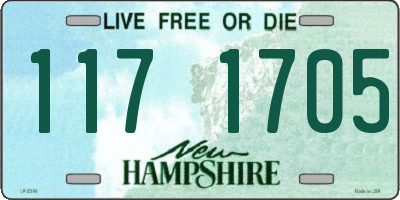NH license plate 1171705