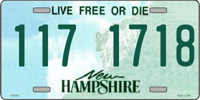 NH license plate 1171718