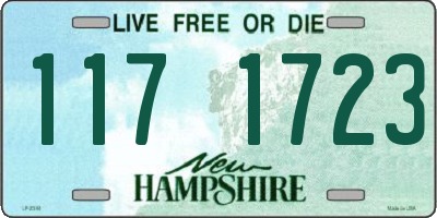 NH license plate 1171723
